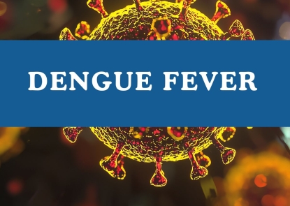 Dengue Fever